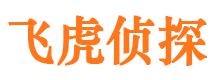 灵台市侦探公司